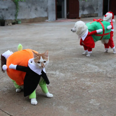 Halloween Pet Costume for Dogs - Pumpkin Outfit