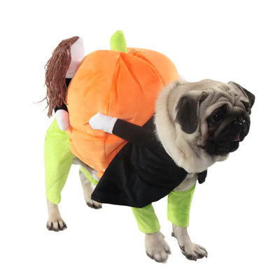 Dog wearing Halloween pet costume pumpkin outfit with soft cotton material