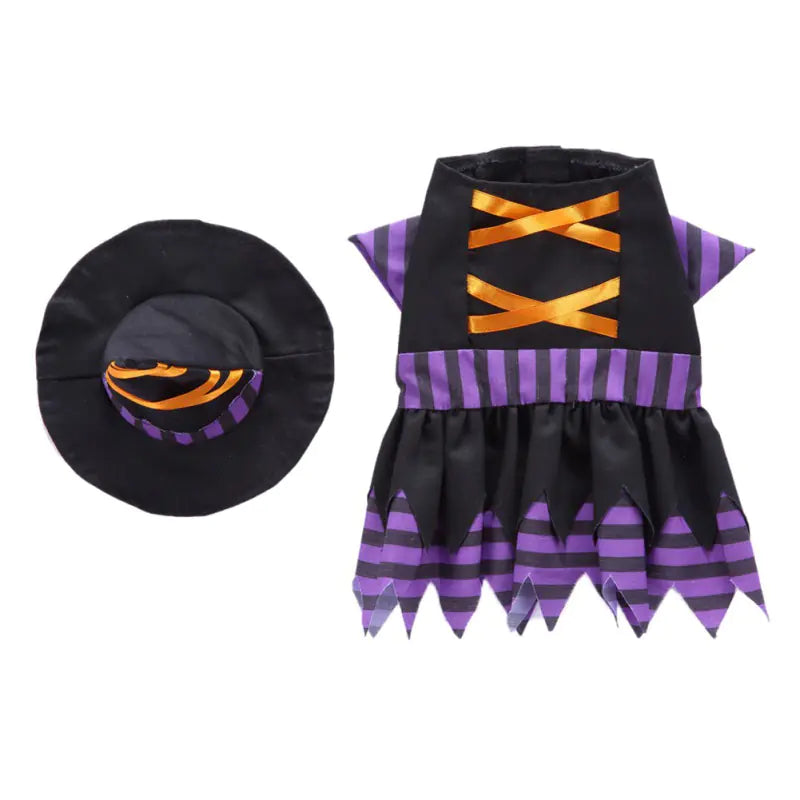 Funny Halloween costume for pets in purple and black witch outfit with hat