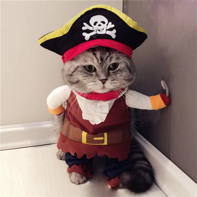 Cat dressed in a Teddy Pirate Pet Costume with a skull-and-crossbones hat and pirate outfit