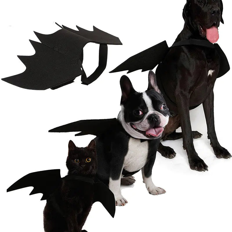 Pets wearing black felt pet bat wings costume for Halloween on a white background