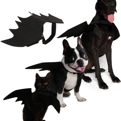 Pets wearing black felt pet bat wings costume for Halloween on a white background