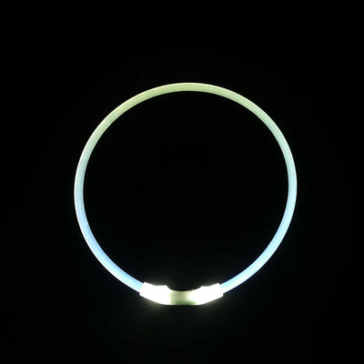 USB Rechargeable Luminous Dog Collar