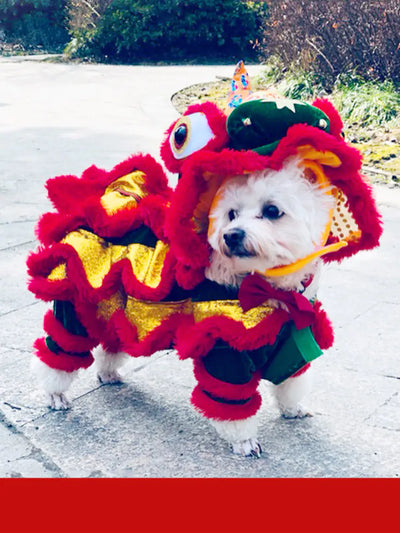 small white dog wearing a colorful funny lion costume outdoors