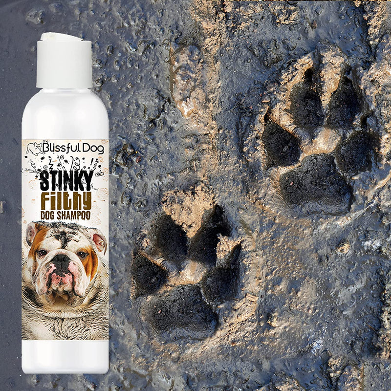 Stinky Filthy Dog Shampoo, 16-Ounce