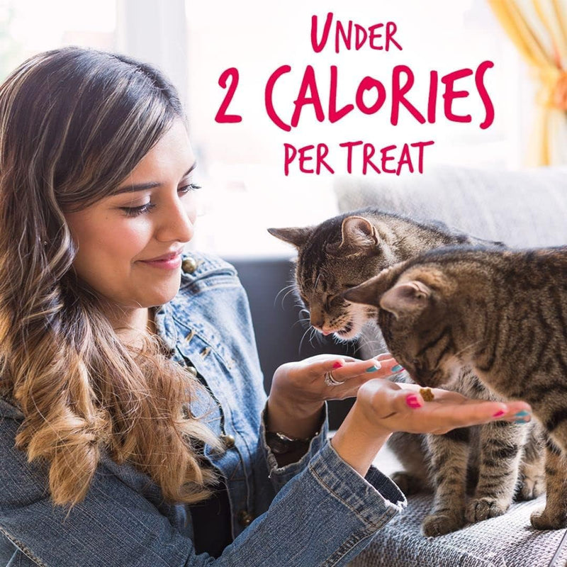 Cat Crunchy Treats for Cats – Healthy Low Calorie Packed with Protein – Free of Wheat, Corn and Soy – Made with Real Salmon with Cranberry – 2.5 Ounces