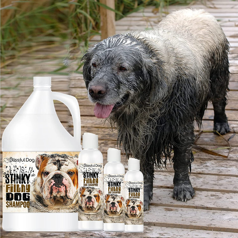 Stinky Filthy Dog Shampoo, 16-Ounce