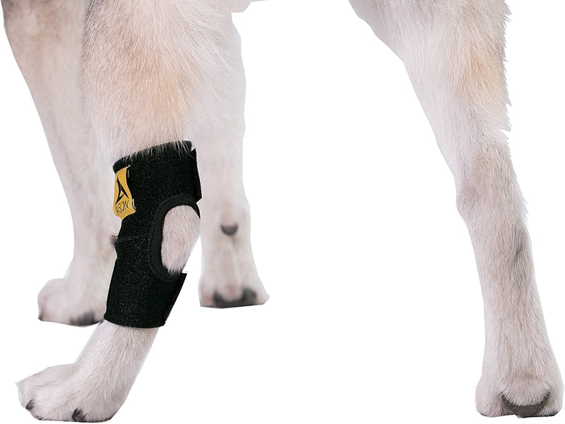 ® Dog Canine Rear Hock Joint Brace Compression Wrap with Straps Dog for Back Leg Protects Wounds. Heals Prevents Injuries and Sprains Helps with Loss of Stability Caused by Arthritis (Small)